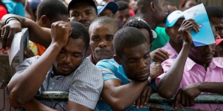 1041c302 1229 4bbd 9ffe c686924fecd8 2 1jpg