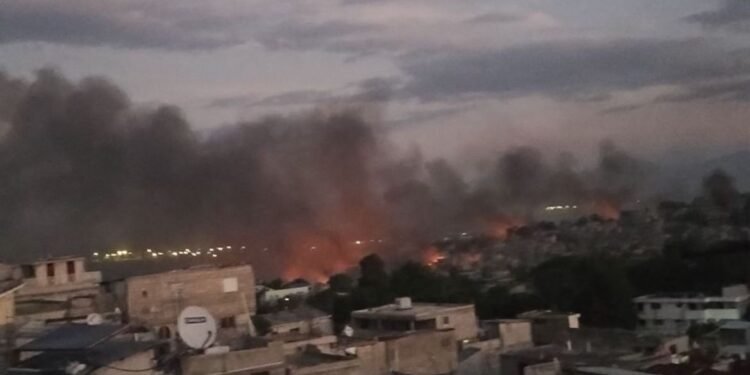 12d61245 ff37 4686 a754 2f21e2736425 2 1jpg