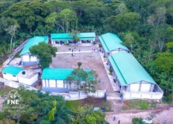 3e989a29 f67e 4185 826b b258f8b22a28 2 1jpg