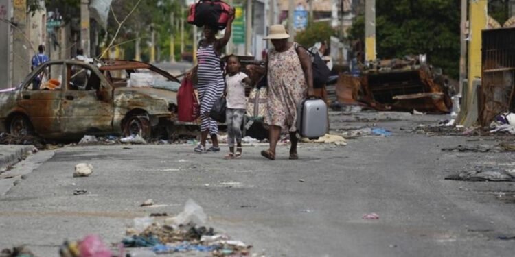 59d55862 5dea 44c4 9b67 c213b444f9dc 1jpg