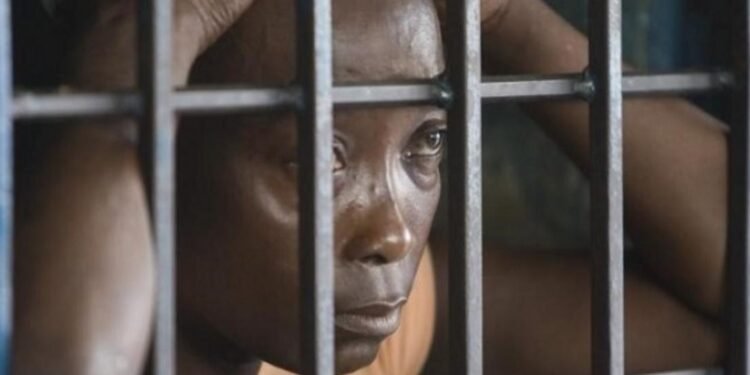 E85f8624 1ced 4a75 9a42 1729c4408519 2 1jpg